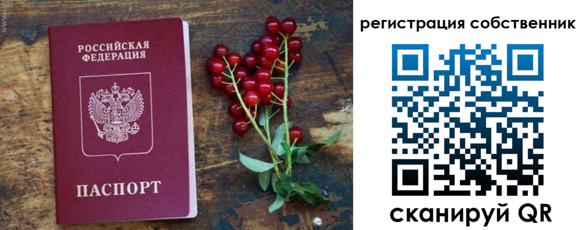 регистрация для дет. сада в Ликино-Дулёво